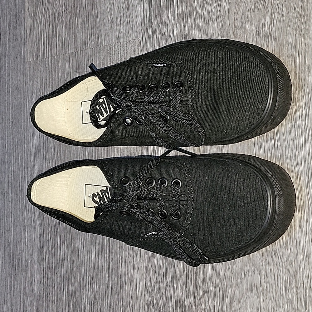 Vans The Authentic Low Top Shoes